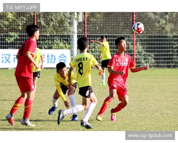 全面解析恒大足球队品牌名称由来及其背后故事与发展脉络深度探秘