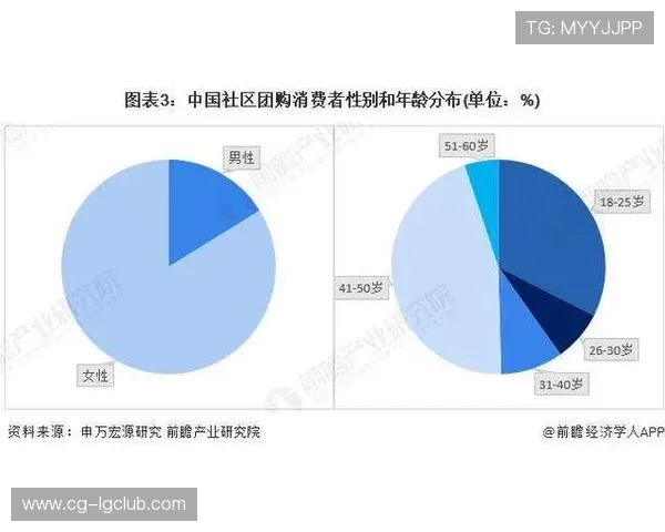 足球钉鞋购买记录分析与消费者偏好趋势研究